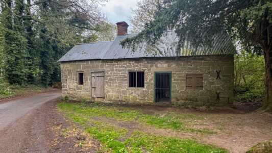 Corbet Wood Countryside Heritage Site 2